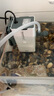 森森 小鯉魚缸過濾器凈水循環(huán)三合一內(nèi)置水族箱過濾系統(tǒng)XQP-500F 6W 曬單實拍圖
