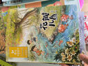 金波四季童話(huà)：花瓣兒魚(yú)、神奇的小銀蛇等 （注音美繪版 套裝共4冊） 課外閱讀 閱讀 課外書(shū)暑假作業(yè) 一升二暑假銜接 小升初暑假銜接 曬單實(shí)拍圖