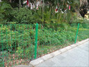 護欄雙邊絲護欄網高速公路隔離網工程圍欄果園隔離河道防護鐵柵欄 6.0毫米.1.8米高*3米長 一網一柱 曬單實拍圖