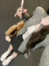 唐菓蜜連衣裙女秋冬2025新款女裝韓系減齡氣質(zhì)甜美學(xué)院風(fēng)顯瘦套裝裙子 灰色開(kāi)衫+內搭+裙子 M 曬單實(shí)拍圖