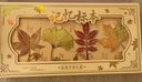 舒星彩色葉脈書(shū)簽禮盒精致金屬古典中國風(fēng)古風(fēng)升學(xué)宴伴手禮文創(chuàng  )畢業(yè)紀念品生日送老師同學(xué)教師節禮物 曬單實(shí)拍圖