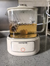 九陽(yáng)（Joyoung）凈萃養(yǎng)生壺迷你家用全玻璃煮茶器 輕音燉煮 1L辦公室0金屬0膠水恒溫?zé)畨?WY103 曬單實(shí)拍圖