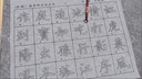 御堂一品毛筆書(shū)法毛筆字初學(xué)初學(xué)者字帖水寫(xiě)布專(zhuān)用練練習入門(mén)臨摹練字套裝高級歐陽(yáng)仿宣清水歐體 筆畫(huà)水寫(xiě)布套裝（送水碟+毛筆） 曬單實(shí)拍圖