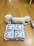 HONEYCARE狗狗紙尿褲公狗尿不濕尿片安全褲 S適用體重4-7kg/12片裝 曬單實(shí)拍圖