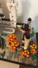 樂(lè )高（LEGO）建筑系列天際線(xiàn) 男孩女孩拼裝玩具積木兒童生日禮物 21063 新天鵝堡 曬單實(shí)拍圖