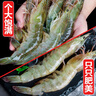 海云馨蝦活蝦速凍生鮮青島大蝦海蝦海鮮水產(chǎn)鮮活冷凍凍蝦超大白蝦 14-17cm整箱 3斤(凈重)  活蝦速凍 曬單實(shí)拍圖