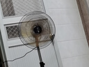 鉆石牌工業(yè)風(fēng)扇落地扇家用立式電風(fēng)扇大風(fēng)力搖頭強力電扇客廳商用工廠(chǎng)車(chē)間鋁葉商業(yè)風(fēng)扇HF1802 曬單實(shí)拍圖