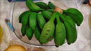 傾睦廣西自然熟小米蕉寶寶輔食迷你小香蕉現(xiàn)摘小芭蕉孕婦香蕉新鮮水果 9斤精品-香甜軟糯 曬單實(shí)拍圖