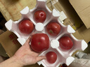 京鮮生沙瓤粉西紅柿 凈重3斤 單果100g+果菜兩吃 源頭直發(fā) 【搜生鮮館】 曬單實(shí)拍圖