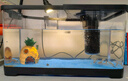 闊庭（KUOTING）魚(yú)缸水族箱生態(tài)桌面魚(yú)缸新款懶人魚(yú)缸生態(tài)造景過(guò)濾制氧一體機(jī)黑色 曬單實(shí)拍圖