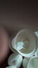貝瑟斯 陶瓷碗燉盅 湯碗隔水燉盅內(nèi)膽蒸蛋碗小燕窩盅月子餐具罐帶蓋勺碟 曬單實(shí)拍圖