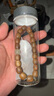 新疆玉文化博物館和田玉冰晴水散珠手鏈玉珠子手串配珠diy單珠串珠配件飾品隔珠圓珠 12mm湖水綠 和田玉珠子和田玉真品 冰淺晴 單老型珠9X10mm 曬單實(shí)拍圖