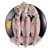 美加佳 鮮凍整只大魷魚（2-3只） 凈重550g 整條魷魚 深海捕撈 海鮮水產(chǎn) 曬單實拍圖