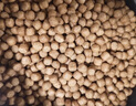 BESSN中華草龜專(zhuān)用龜糧烏龜飼料食物半水龜墨龜通用糧小烏龜上浮型發(fā)色 【高蛋白 除便臭】5mm 2L 1瓶 上浮型 曬單實(shí)拍圖