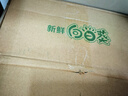 新鮮現(xiàn)摘現(xiàn)發(fā)葵花盤帶盤瓜子原味生葵花籽葵花頭農(nóng)家自產(chǎn)生吃孕婦 2中盤現(xiàn)摘現(xiàn)發(fā) 曬單實(shí)拍圖