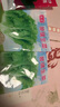 孔雀菜紫葉生菜不打藥不生蟲生吃脆甜高營(yíng)養(yǎng)直立生菜四季播生菜 正品玻璃生菜種子約4500粒3包 曬單實(shí)拍圖
