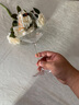 索雅特 stolzle紅酒杯德國進(jìn)口水晶玻璃杯勃艮第套裝一對高檔輕奢高腳杯 【爆款】超凡勃艮第杯2支 710ml 曬單實(shí)拍圖