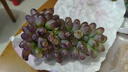 夢茜兒順豐 東北茉莉香葡萄 無籽5斤新鮮水果郁金香提子現(xiàn)摘 4斤 精選 順豐快遞（5-8串） 曬單實(shí)拍圖