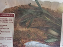 冰鮮調味羔羊法式小切羊排300g（2-3個(gè)） 曬單實(shí)拍圖