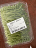 【嫩苗菜】 豌豆苗200g 曬單實(shí)拍圖