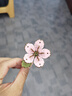 若物木藝繁花櫻花積木花束教師節(jié)diy手工制作生日禮物女生   曬單實(shí)拍圖