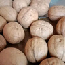 新邊界（new boundaries）薄皮核桃1500g 新疆特產阿克蘇核桃堅果炒貨手剝原味量販 曬單實拍圖