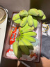正宗蘋果蕉當(dāng)季新鮮水果現(xiàn)摘自然熟小米蕉香蕉粉蕉整箱產(chǎn)地直發(fā) 【帶箱5斤】蘋果蕉 曬單實(shí)拍圖