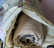 無(wú)印良品10%大豆纖維空調(diào)被子四季被芯4斤200x230cm 曬單實(shí)拍圖