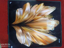 VIVO【分期免息】X Fold3系列 Fold3 Pro折疊屏手機(jī) 超輕薄  5G全網(wǎng)通 X Fold3 Pro 薄翼黑 16GB+1TB 官方標(biāo)配+原封未激活+全國(guó)聯(lián)保 曬單實(shí)拍圖