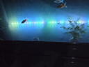魚(yú)之眼魚(yú)缸燈led燈防水造景燈水族燈照明燈氣泡條燈管水族箱增氧氣泡燈 110cm 七彩漸變款 不帶氧氣泵 曬單實(shí)拍圖