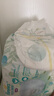 幫寶適【夏天超薄透氣】清新幫透氧Pro嬰兒拉拉褲3XL48片 尿片尿不濕 曬單實拍圖