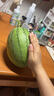 現摘現發(fā)2k西瓜當季手剝薄皮小糖丸西瓜新鮮水果冰糖子小西瓜 4-5斤（1-2個） 曬單實拍圖