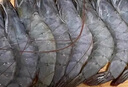 鮮京采 厄瓜多爾白蝦 凈重3斤/盒 特大號20-30規格   30-45只/盒 曬單實(shí)拍圖