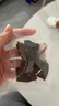 京東京造 超干風干牛肉片麻辣味200g 手撕牛肉干肉脯 0添加防腐劑休閑零食 曬單實拍圖