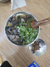 SINGO INCORP球蟲(chóng)驅(qū)蟲(chóng)藥 d800驅(qū)蟲(chóng)藥磺胺二甲嘧啶片球蟲(chóng)血痢貓咪狗狗弓形蟲(chóng) 巴迪D800驅(qū)蟲(chóng)藥一盒(8片） 曬單實(shí)拍圖