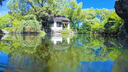 TELESIN(泰迅)適配大疆a(chǎn)ction4 5pro防水殼潛水殼action3保護殼保護套運動相機配件 45米防水 曬單實拍圖