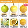 欽蜜9號黃金百香果當(dāng)季大果新鮮水果鵬貿(mào) 百香果10粒中果45-60g 曬單實拍圖