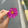 自然堂（CHANDO）男士冰川露 補水保濕乳霜潤膚露水潤護膚品生日禮物送男友 保濕露 70ml 【男士爆款】 曬單實拍圖