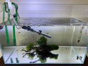BESSN貝森金晶五線超白玻璃魚(yú)缸客廳裸缸家用水草溪流缸6mm50*30*35cm 曬單實(shí)拍圖