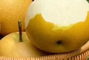 京鮮生安徽碭山新玉冰糖梨 4.5斤裝 單果250g+ 生鮮水果源頭直發(fā) 曬單實拍圖