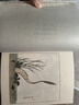 植物先生：二十四節(jié)氣植物研學(xué)課 袁明華 著 植物先生系列（2冊(cè)） 曬單實(shí)拍圖