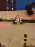 巒騰小牛NST電動(dòng)車擋風(fēng)被專用冬季加厚加大圍脖護(hù)肩防水防風(fēng)電動(dòng)摩托車電瓶車用品配件擋風(fēng)罩適用于 【基礎(chǔ)圍脖款】飛行小狗 【加寬加大】小牛NST專用 曬單實(shí)拍圖