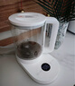 米家小米養(yǎng)生壺燒水壺恒溫電熱水壺煮茶壺泡茶器家用辦公室花茶燕窩壺 帶燉盅+316L濾網 1.5L燒水壺S2 曬單實拍圖