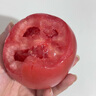 京鮮生沙瓤粉西紅柿 凈重3斤 單果100g+果菜兩吃 源頭直發(fā) 【搜生鮮館】 曬單實(shí)拍圖