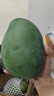 集南鮮 凱特芒果 四川攀枝花芒果當(dāng)季大青皮黃皮大芒果新鮮水果整箱 含箱10斤  單果500g起  凈重9斤 曬單實拍圖