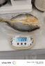 鮮京采寧德黃魚(yú)鲞4條/2斤(單條235-255g)三去處理魚(yú)類(lèi) 地標 源頭直發(fā) 曬單實(shí)拍圖