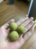 思念鮮美豬肉灌湯小籠包450g*2袋共36只 早餐半成品食品早點兒童 曬單實拍圖