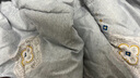 圣羅萊全棉100桑蠶絲被子冬天單人學生宿舍6-8斤冬被加厚家用雙人被芯褥 納米抗菌-藍【全棉100桑蠶絲被】 150x200cm 6斤【秋冬被】 曬單實拍圖