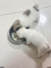 力狼（LILANG）狗糧幼犬糧 博美泰迪柯基金毛邊牧全犬種中小型犬通用型狗糧 【鮮肉羊奶】幼犬專研糧2kg4斤 曬單實(shí)拍圖