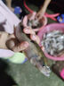 池刃池刃雙棒拉線器gt結(jié)拉線棒路亞海釣魚線PE線前導(dǎo)線掛底防滑拉力棒 拉線棒【橙色】 曬單實(shí)拍圖